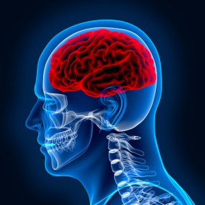 How to Prevent Brain Injuries